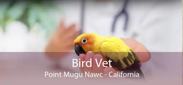 Bird Vet Point Mugu Nawc - California