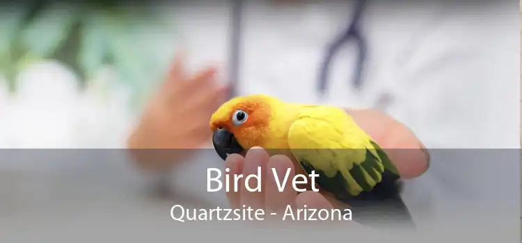 Bird Vet Quartzsite - Arizona