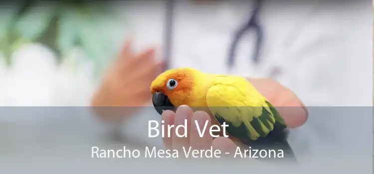 Bird Vet Rancho Mesa Verde - Arizona