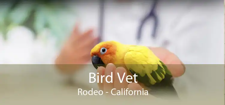 Bird Vet Rodeo - California