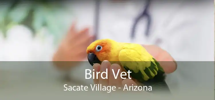 Bird Vet Sacate Village - Arizona