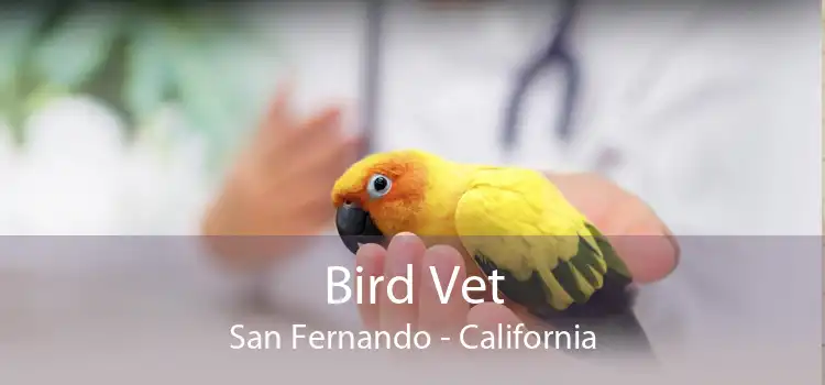 Bird Vet San Fernando - California
