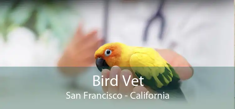 Bird Vet San Francisco - California