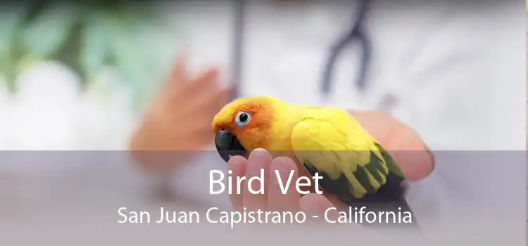 Bird Vet San Juan Capistrano - California