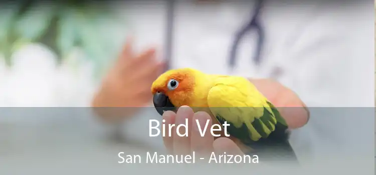 Bird Vet San Manuel - Arizona