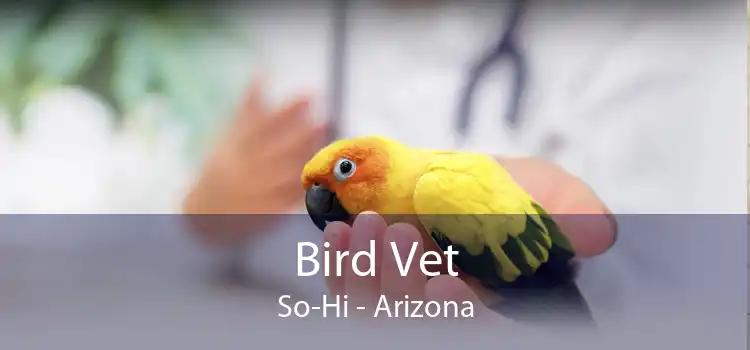 Bird Vet So-Hi - Arizona