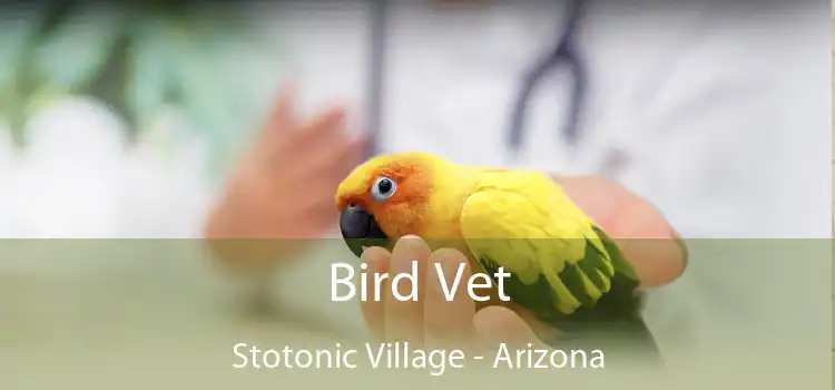 Bird Vet Stotonic Village - Arizona