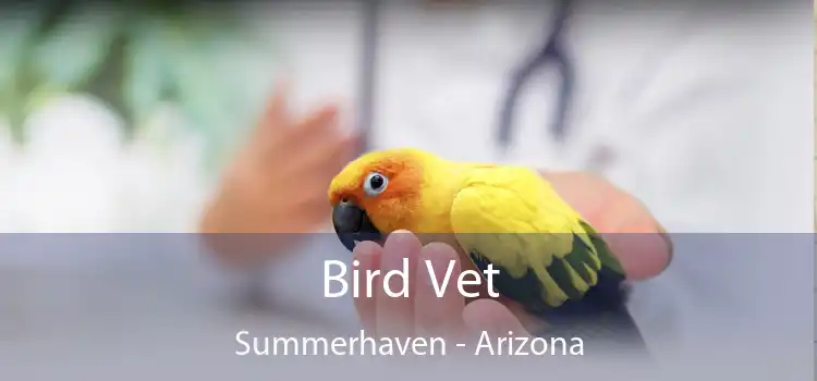 Bird Vet Summerhaven - Arizona