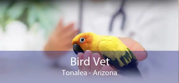 Bird Vet Tonalea - Arizona
