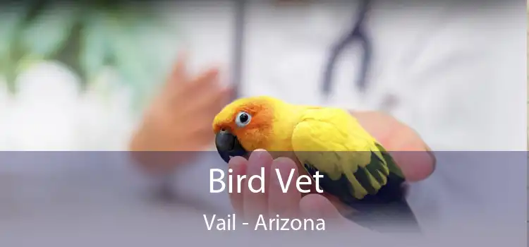 Bird Vet Vail - Arizona