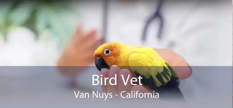 Bird Vet Van Nuys - California