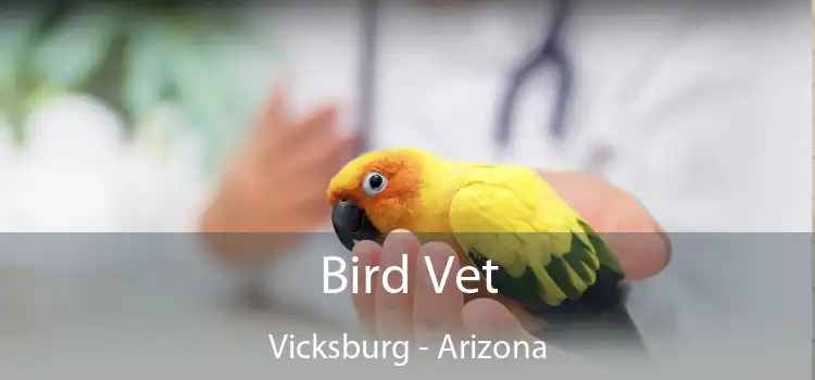 Bird Vet Vicksburg - Arizona