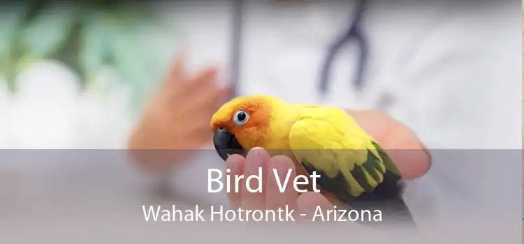 Bird Vet Wahak Hotrontk - Arizona