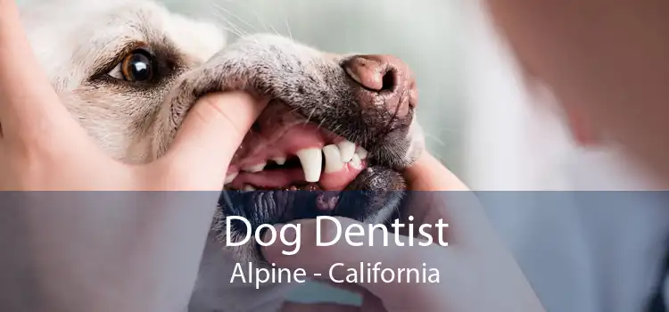 Dog Dentist Alpine - California