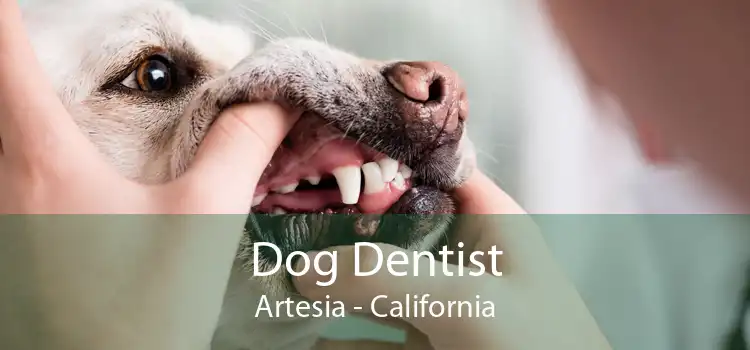 Dog Dentist Artesia - California
