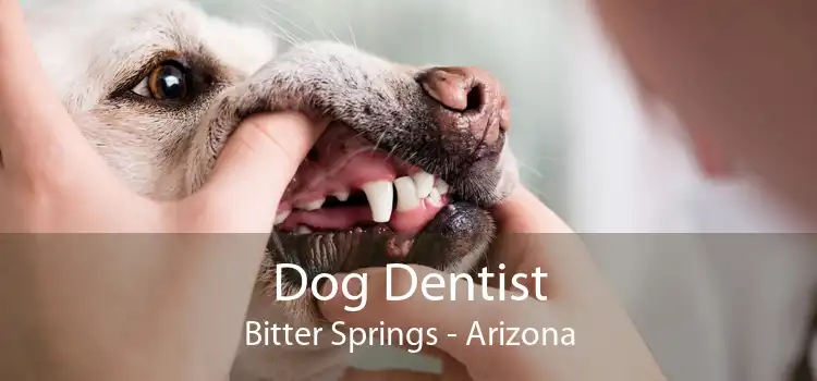 Dog Dentist Bitter Springs - Arizona