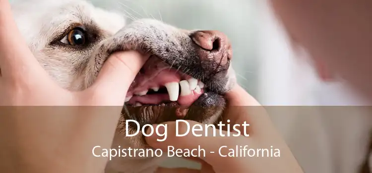 Dog Dentist Capistrano Beach - California