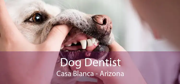 Dog Dentist Casa Blanca - Arizona