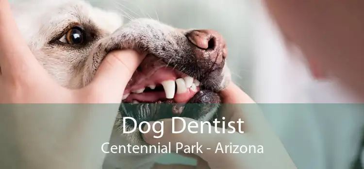 Dog Dentist Centennial Park - Arizona