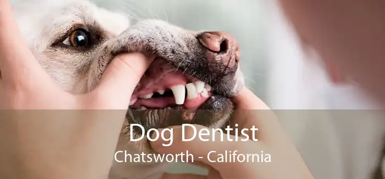 Dog Dentist Chatsworth - California