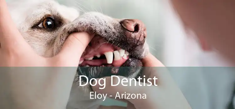 Dog Dentist Eloy - Arizona