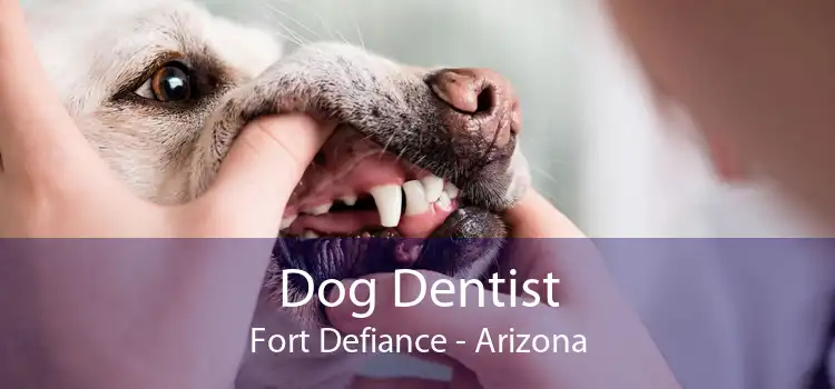 Dog Dentist Fort Defiance - Arizona