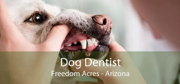 Dog Dentist Freedom Acres - Arizona