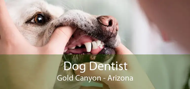 Dog Dentist Gold Canyon - Arizona