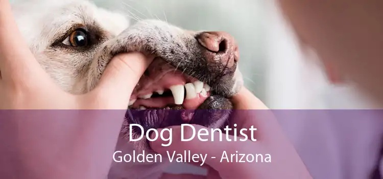 Dog Dentist Golden Valley - Arizona