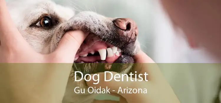 Dog Dentist Gu Oidak - Arizona