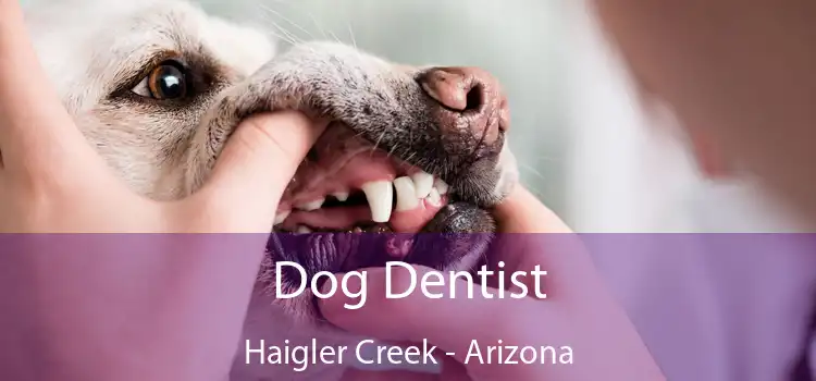 Dog Dentist Haigler Creek - Arizona