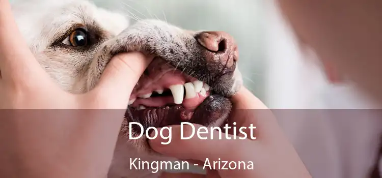 Dog Dentist Kingman - Arizona