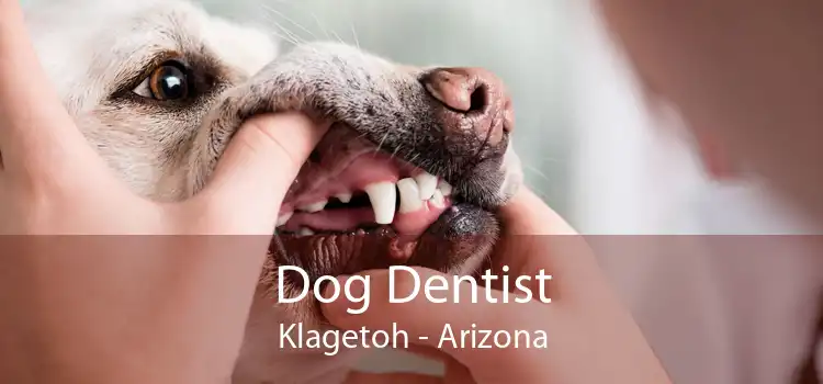 Dog Dentist Klagetoh - Arizona