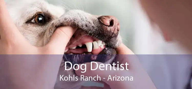 Dog Dentist Kohls Ranch - Arizona