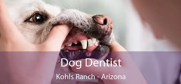 Dog Dentist Kohls Ranch - Arizona
