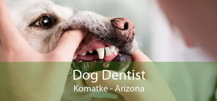 Dog Dentist Komatke - Arizona