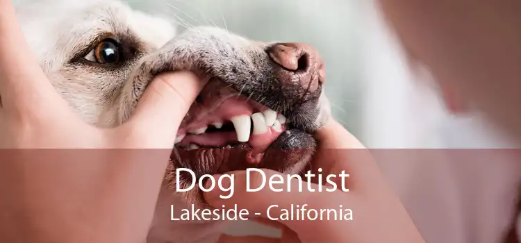 Dog Dentist Lakeside - California