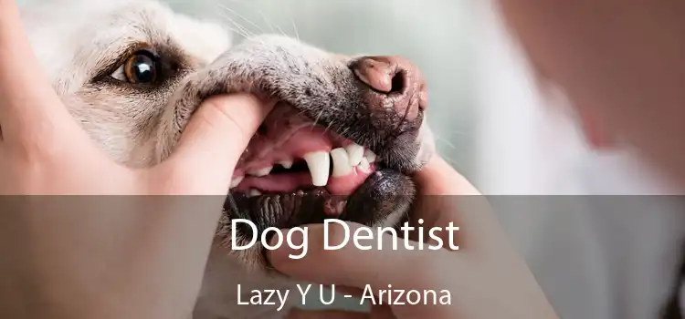 Dog Dentist Lazy Y U - Arizona