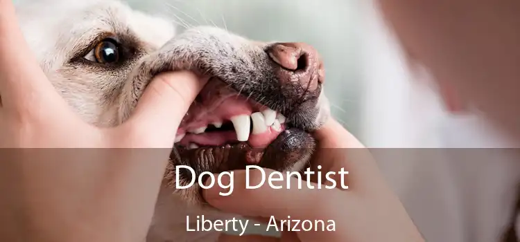 Dog Dentist Liberty - Arizona