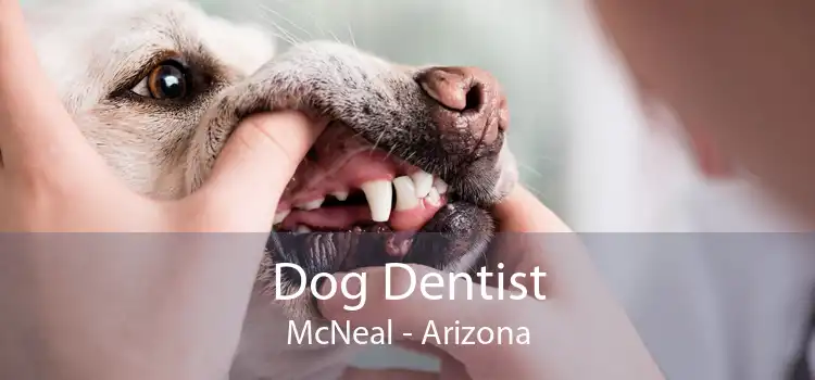 Dog Dentist McNeal - Arizona