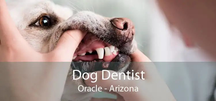 Dog Dentist Oracle - Arizona