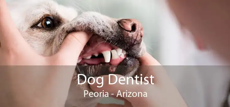 Dog Dentist Peoria - Arizona