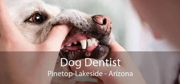 Dog Dentist Pinetop-Lakeside - Arizona