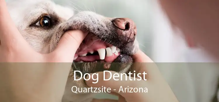 Dog Dentist Quartzsite - Arizona