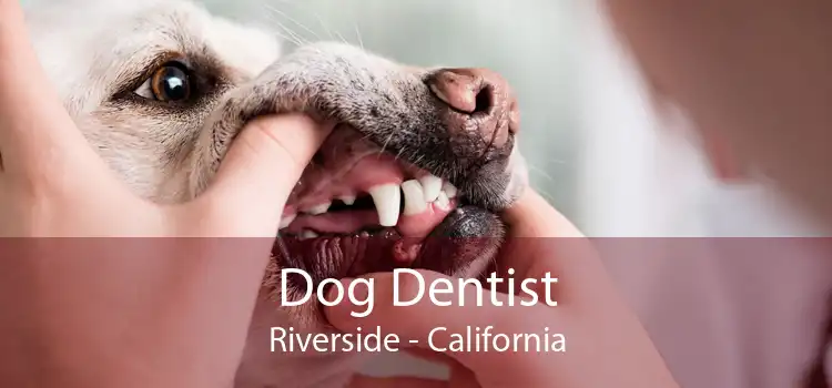 Dog Dentist Riverside - California