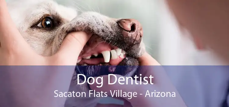 Dog Dentist Sacaton Flats Village - Arizona