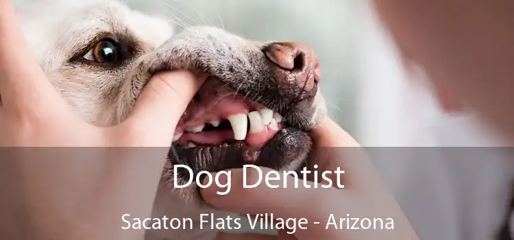 Dog Dentist Sacaton Flats Village - Arizona