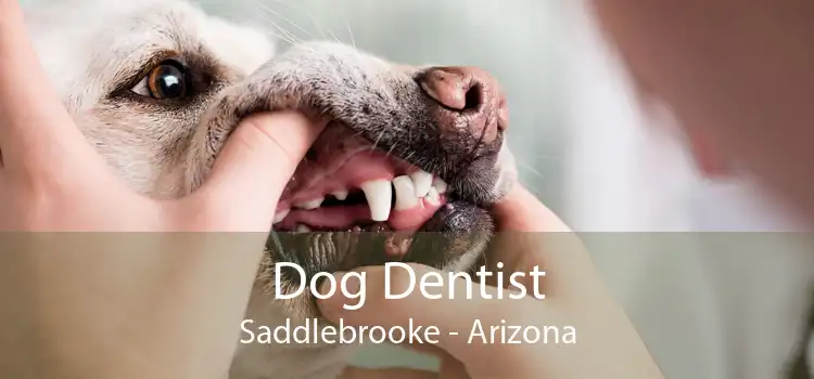 Dog Dentist Saddlebrooke - Arizona