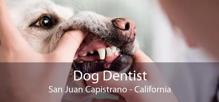 Dog Dentist San Juan Capistrano - California