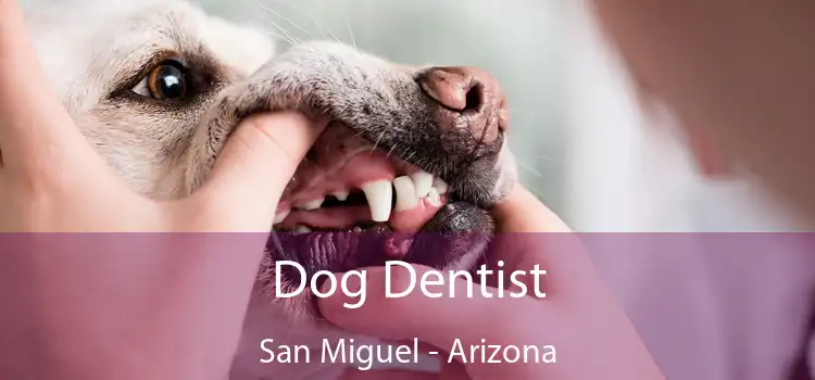 Dog Dentist San Miguel - Arizona